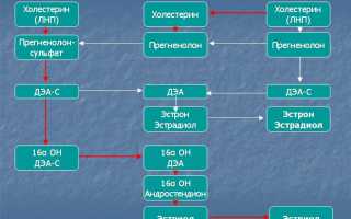 Тройной тест АФП ХГ ДЭА-С при беременности, что он означает и как проводится