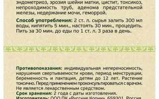 Боровая матка для зачатия — рекомендации по использованию и полезные советы