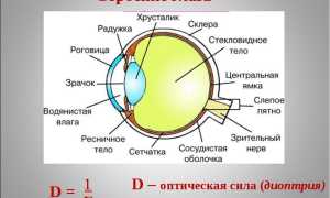Особенности цветного зрения человека и его влияние на восприятие