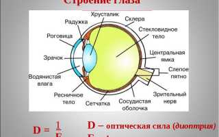 Особенности цветного зрения человека и его влияние на восприятие