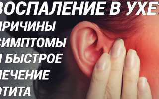 Хронический отит: причины и симптомы развития, способы лечения, видео