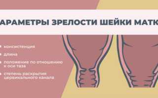 Как ускорить раскрытие шейки матки: стимуляция и ее виды для будущих мам