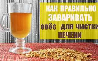 Как заваривать овес для очищения организма: рецепты и применение, видео