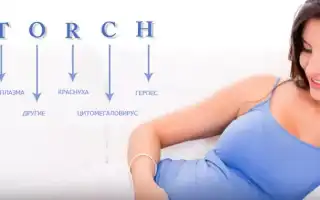 Зачем и когда сдавать анализ крови на TORCH-инфекции при беременности: важные рекомендации