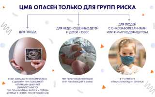 Цитомегаловирус при беременности: что нужно знать