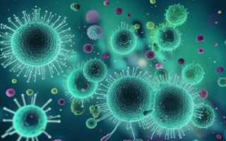 Лепотрикс в мазке при беременности — причины и последствия его появления для здоровья