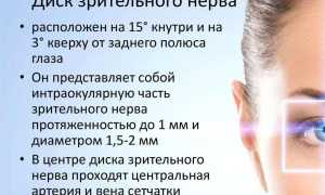Застойный диск зрительного нерва: причины и лечение заболевания у пациентов