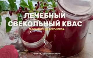 Рецепты свекольного кваса — приготовление лечебного напитка