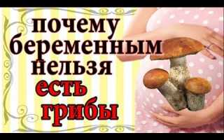 Грибы при беременности: польза и риски