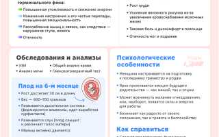 6 месяц беременности – изменения, развитие плода, рекомендации для мамы и советы по уходу