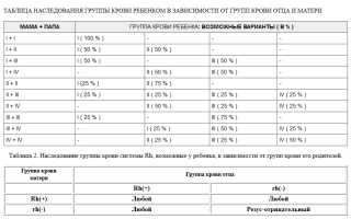 Анализ крови на антитела: норма и отклонения при беременности для здоровья мамы