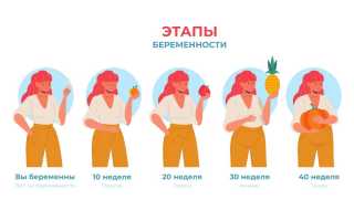 Что делать при отравлении во время беременности во 2 триместре