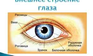 Дефект зрения – люди с нарушениями: виды и классификация заболеваний