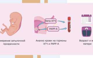 Генетические анализы перед беременностью: что это и зачем сдавать для здоровья