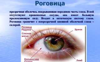 Отёк роговицы: причины и методы лечения глазных заболеваний