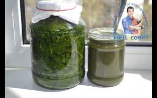 Крапива для лечения простатита: эффективные фито-средства, рецепты, видео