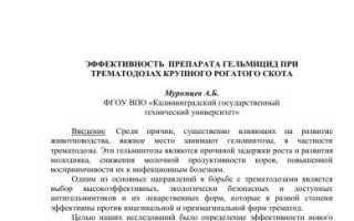 Проведение дегельминтизации животных при трематодозах