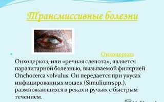 Онхоцеркоз человека: признаки, причины возникновения, лечение и профилактика