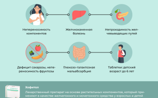 Хофитол при беременности: показания и противопоказания, аналоги и рекомендации