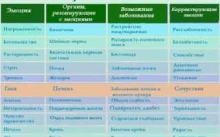 Язвы и стресс: связь эмоционального состояния с болезнями