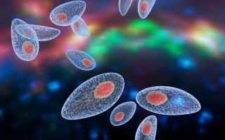 Что делать если анализ на токсоплазмоз положительный