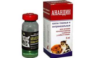 Анандин – глазные капли или интраназальные для собак: применение и особенности