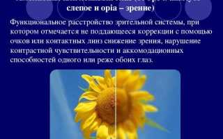 Патология зрения – рефракционная амблиопия и её лечение