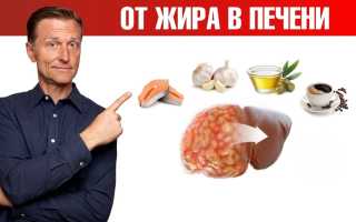 Лечение жирового гепатоза печени народными средствами + видео — рецепты