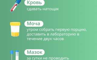 ПЦР при беременности — что это такое, зачем сдавать анализ и как он проводится