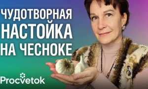 Чеснок для чистки сосудов: 8 рецептов, приготовление и применение, видео
