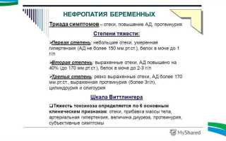 Нефропатия беременных: причины и лечение