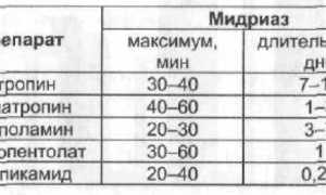 Мидриатики – глазные капли для расширения зрачков: сколько действуют и как применять