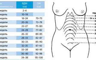 Особенности измерения окружности живота и ВСД матки у беременных женщин