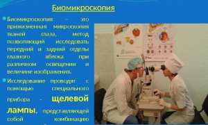 Биомикроскопия глаза: особенности исследования и показания к его проведению для диагностики заболеваний