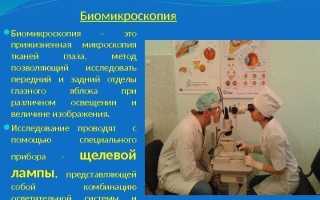 Биомикроскопия глаза: особенности исследования и показания к его проведению для диагностики заболеваний