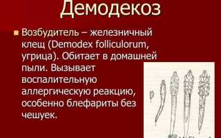 Анализ на демодекоз: важные аспекты и рекомендации