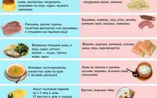 Диета при хроническом гепатохолецистите у беременных: режим питания, продукты, плюсы и минусы диеты для здоровья