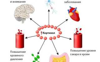 Признаки повышенного кортизола: возможные проблемы и их решение