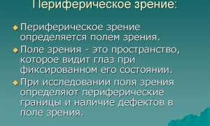 Переферийное зрение – что это периферия, как развить периферическое зрение для улучшения восприятия