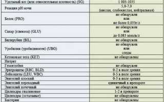 Анализ мочи по Земницкому при беременности — зачем назначается и чем говорят результаты для здоровья
