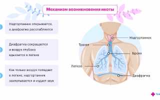 Почему появляется икота плода при беременности и что с этим делать