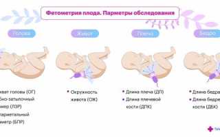Фетометрия при беременности: важные аспекты и рекомендации