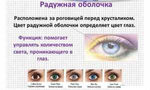 Врожденная и приобретенная колобома радужной оболочки: причины и лечение