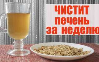 Чистка печени овсом: готовим народное средство, видео — рецепты подробно
