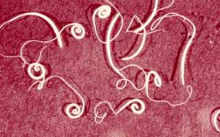 Обеззараживание яиц гельминтов и простейших