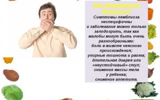 Чем лечит лямблии у взрослых какими препаратами