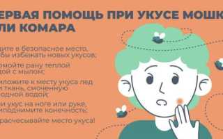 Что делать при укусе мошки в глаз? Лечение: снимаем зуд и отек