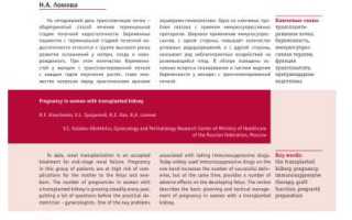 Возможна ли беременность с пересаженной почкой: важные аспекты