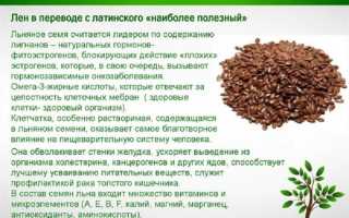 Льняное семя: польза и применение, рецепт каши и чистка кишечника