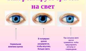 Как быстро сузить зрачки – что сделать, чтобы сузились эффективно и безопасно